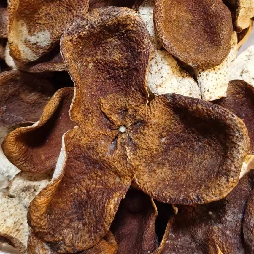 【十年梅江冬后大红皮】2013年新会陈皮收藏送礼