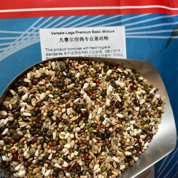 比利时凡赛尔信鸽专业基础粮