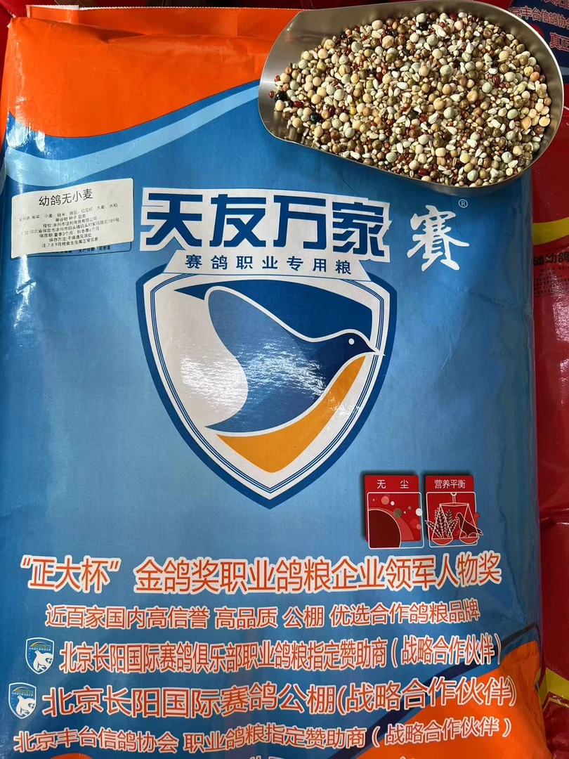 天友万家幼鸽无小麦鸽粮