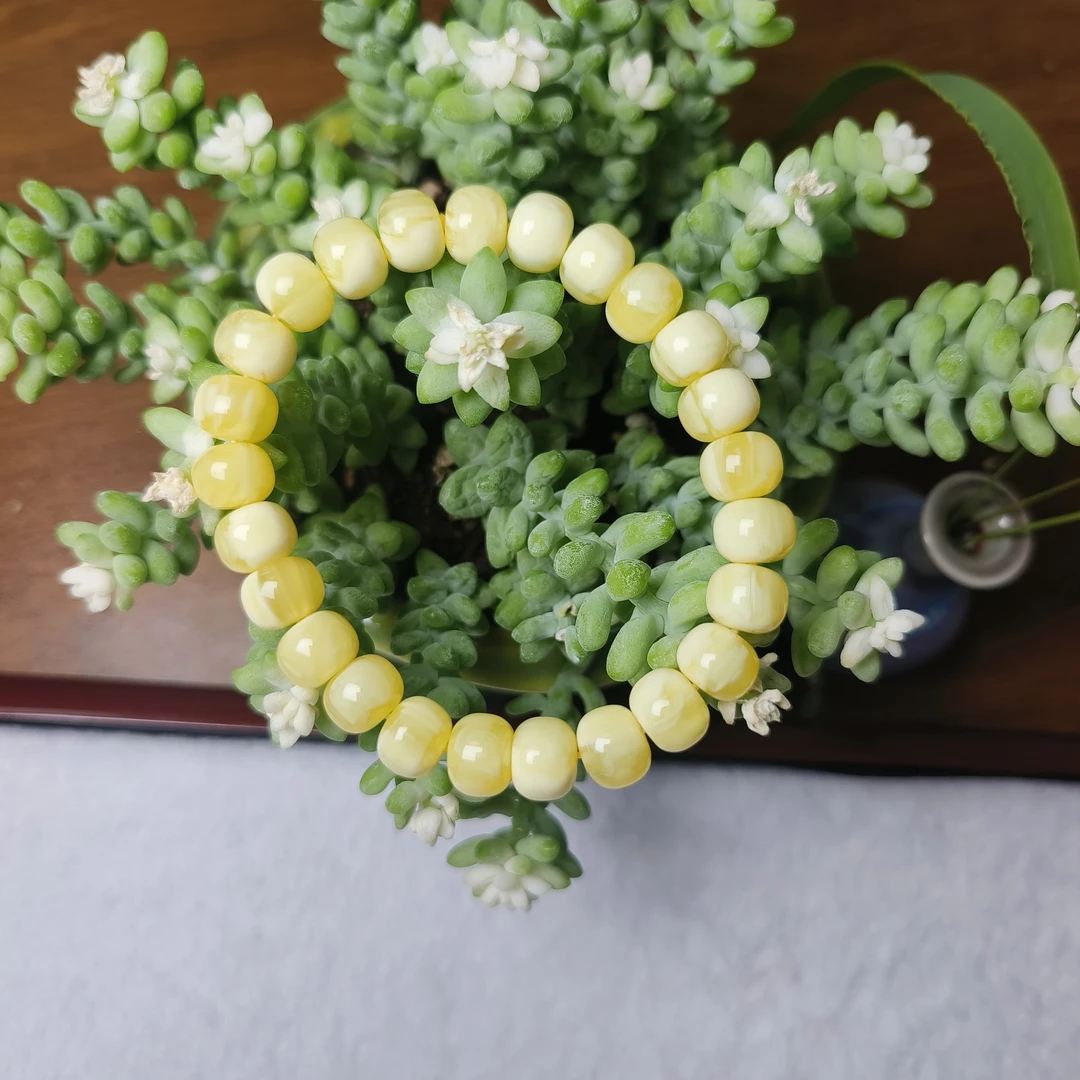 c029  古巴新蜜手串卡10