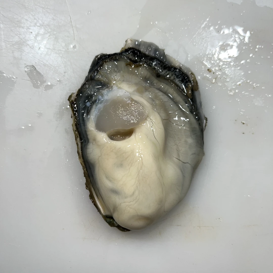 【长春同城】3+生蚝 5斤（保鲜不保活）