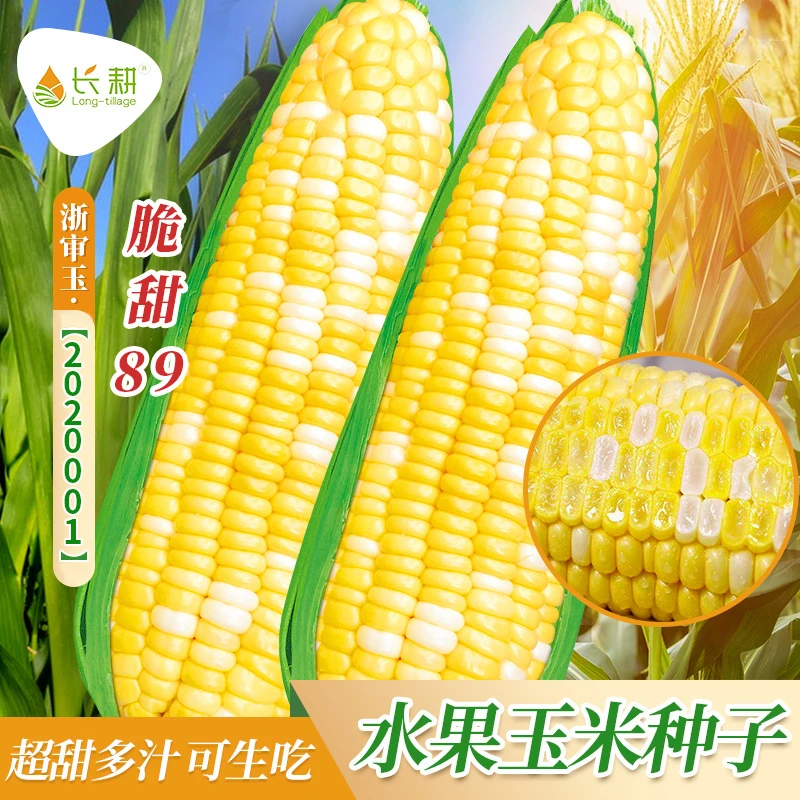 超甜水果玉米种子生吃甜玉米种籽蔬菜种孑四季大田苞米春季高产