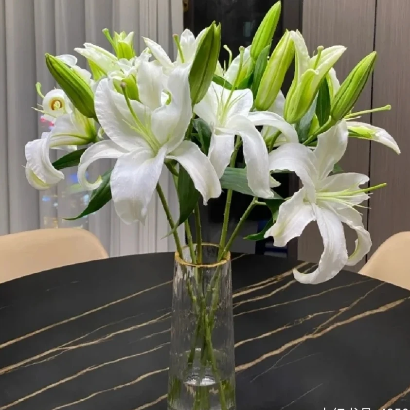 东北辽宁凌源鲜花西百 白色香水百合家居装饰鲜花