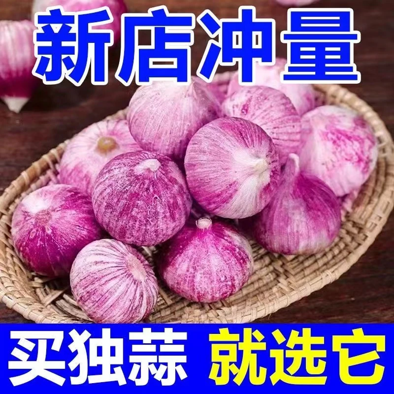 新鲜云南紫皮独头蒜香辣饱满红皮大蒜头