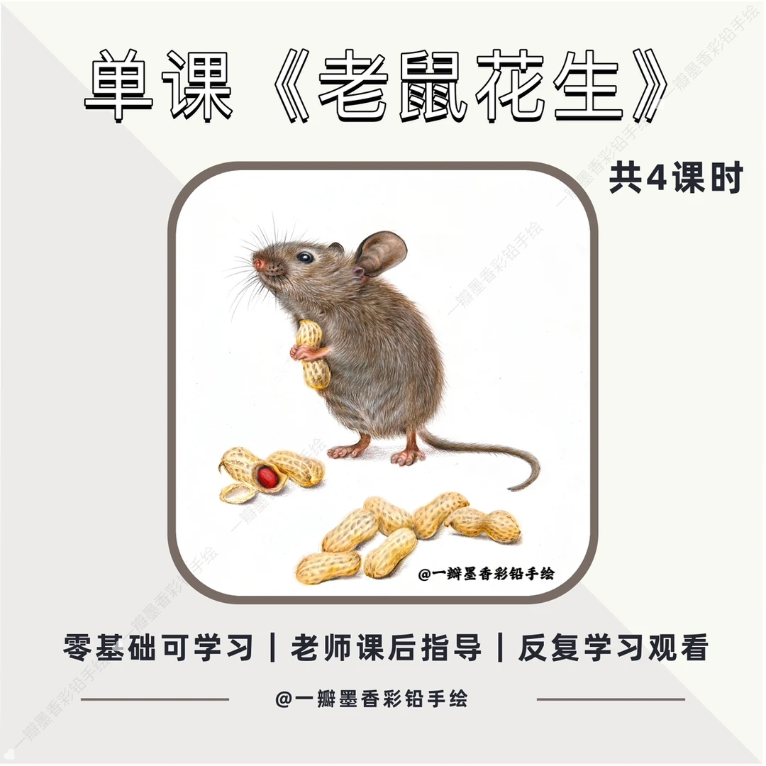 《老鼠花生》零基础彩铅创意课程入门画画绘画素描手绘学生作品