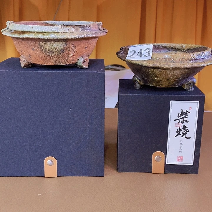 红陶20CM（含）-50CM（不含）老*