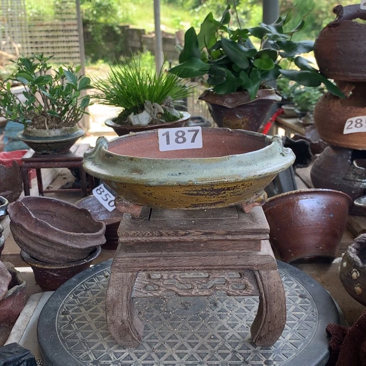 红陶20CM（含）-50CM（不含）187