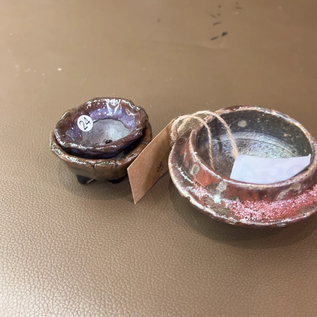 红陶g**i294………………