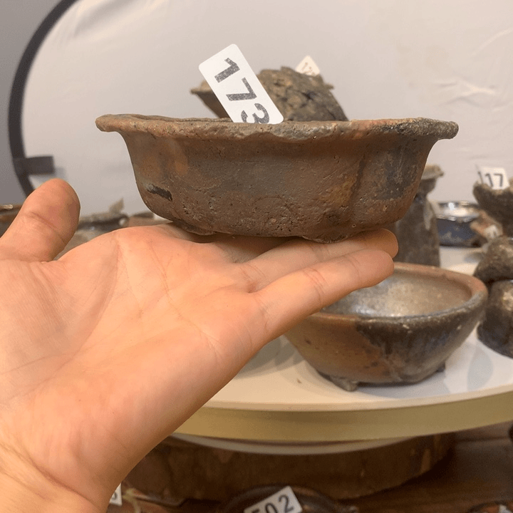 红陶20CM（含）-50CM（不含）内10.5×8.5×3.