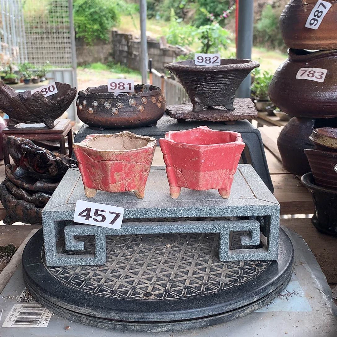 红陶20CM（含）-50CM（不含）457