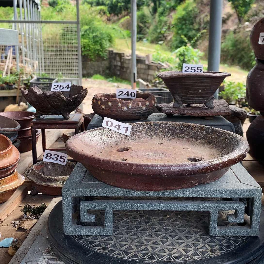 红陶20CM（含）-50CM（不含）19x2.5（041