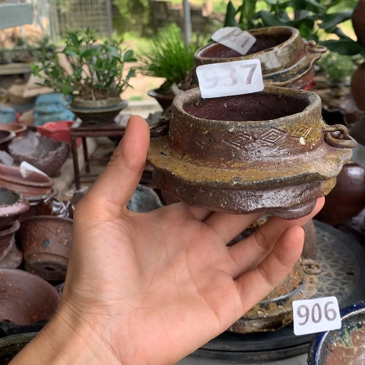 红陶20CM（含）-50CM（不含）珍**禁