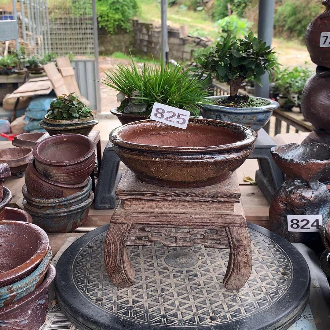 红陶20CM（含）-50CM（不含）11x4（825