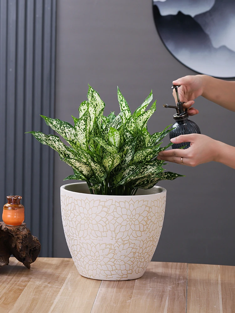 多肉花盆陶瓷花盆直播兰花花盆直播间现场直播卖货小花盆