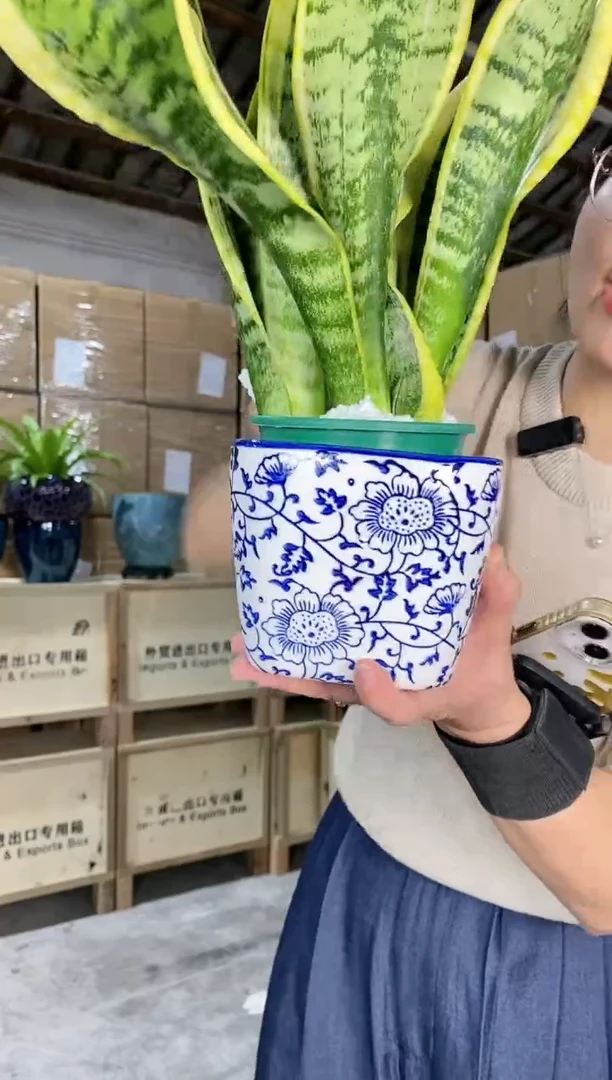 【闪购商品】陶瓷20CM以下四方全青花白底小S