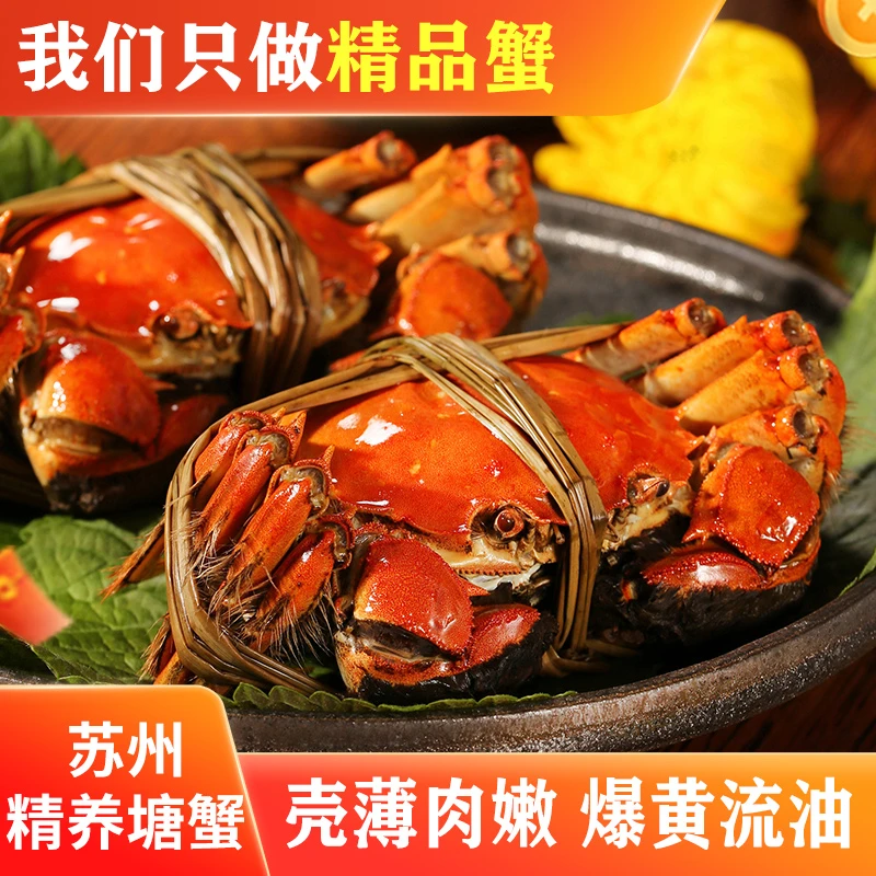 【活蟹】巴蟹人家全母蟹2.3-2.5两 拍8发10只 苏州大闸蟹高标准塘蟹