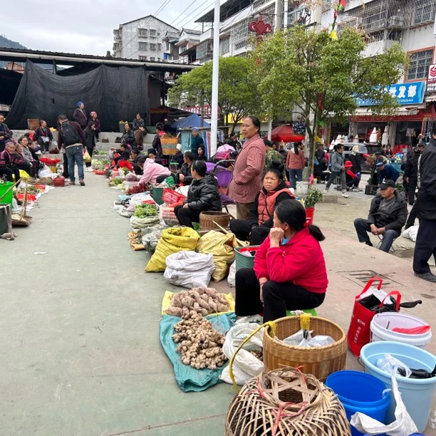 〖2号链接〗水果蔬菜农产品田螺等1斤起