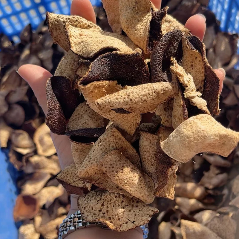 （10-20年陈皮断皮）正宗老陈皮干广东江门老陈皮泡茶