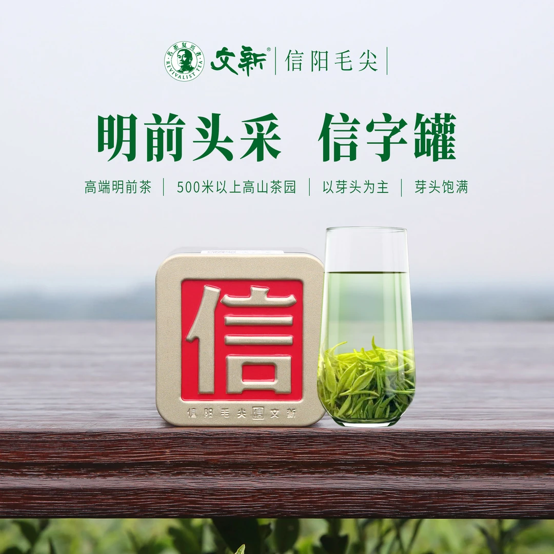 【2025年新茶】文新信字罐20g信阳毛尖明前珍品