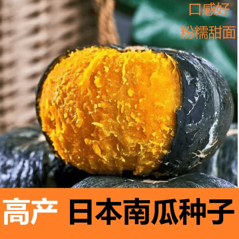 【全店任选5包包邮】日本南瓜种子高产香甜板栗南瓜春秋四季蔬菜苗