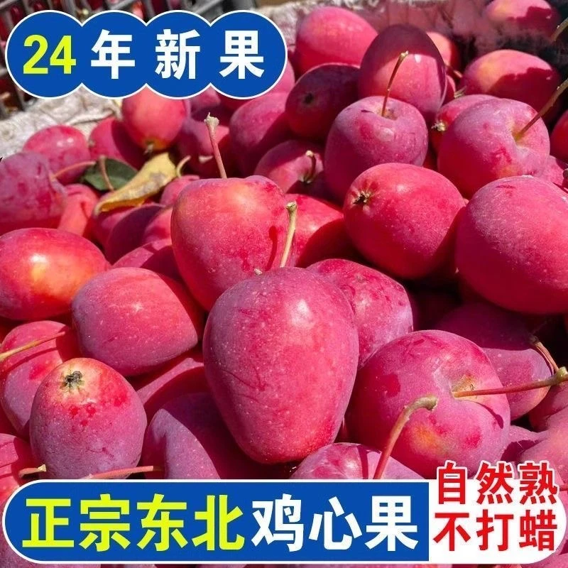 正宗东北鸡心果锦绣海棠现摘现发甜脆爽口3斤5斤装包邮