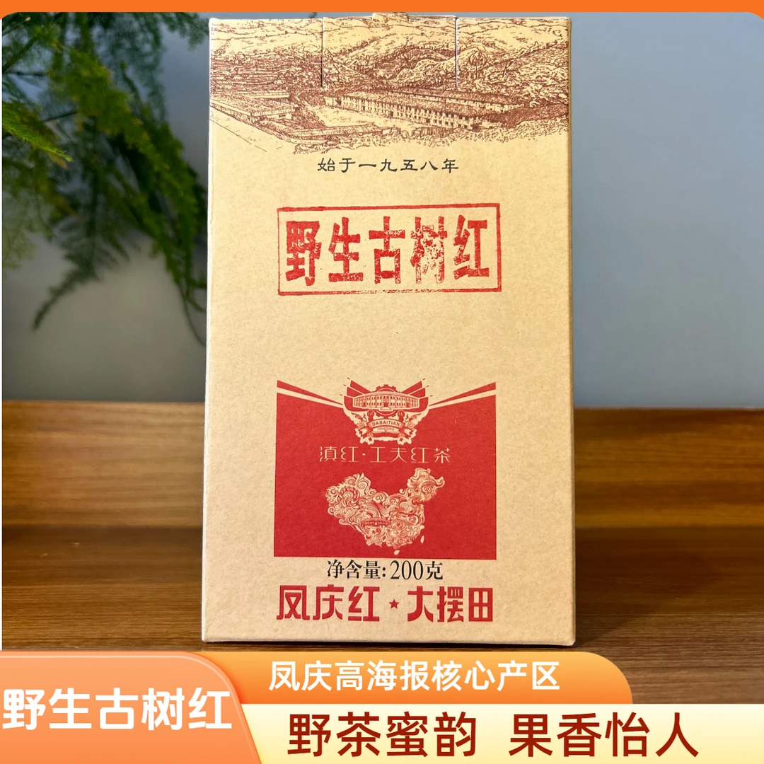 野生古树滇红红茶24年早春滇红茶云南凤庆正宗果香花香大叶种好喝