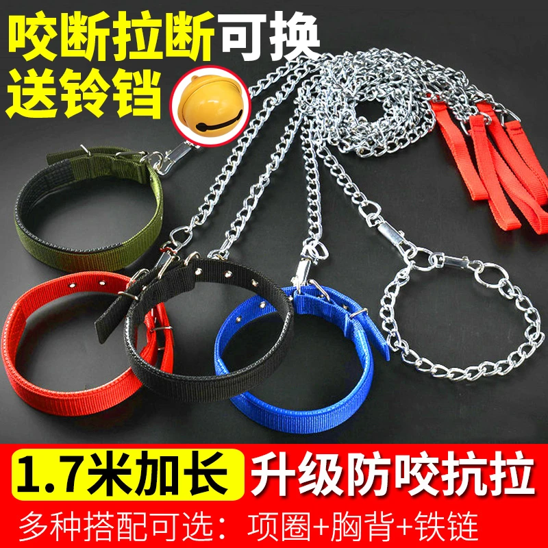 狗狗牵引绳铁链狗链子项圈泰迪金毛遛狗绳小型中型大型犬狗链拴狗