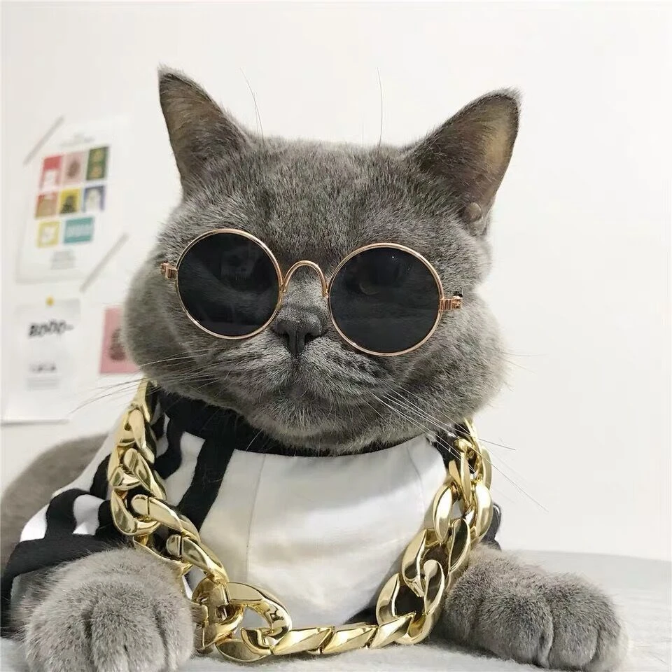 宠物猫咪眼镜搞怪墨镜蓝猫加菲猫太阳眼镜拍照道具狗狗墨镜金项链