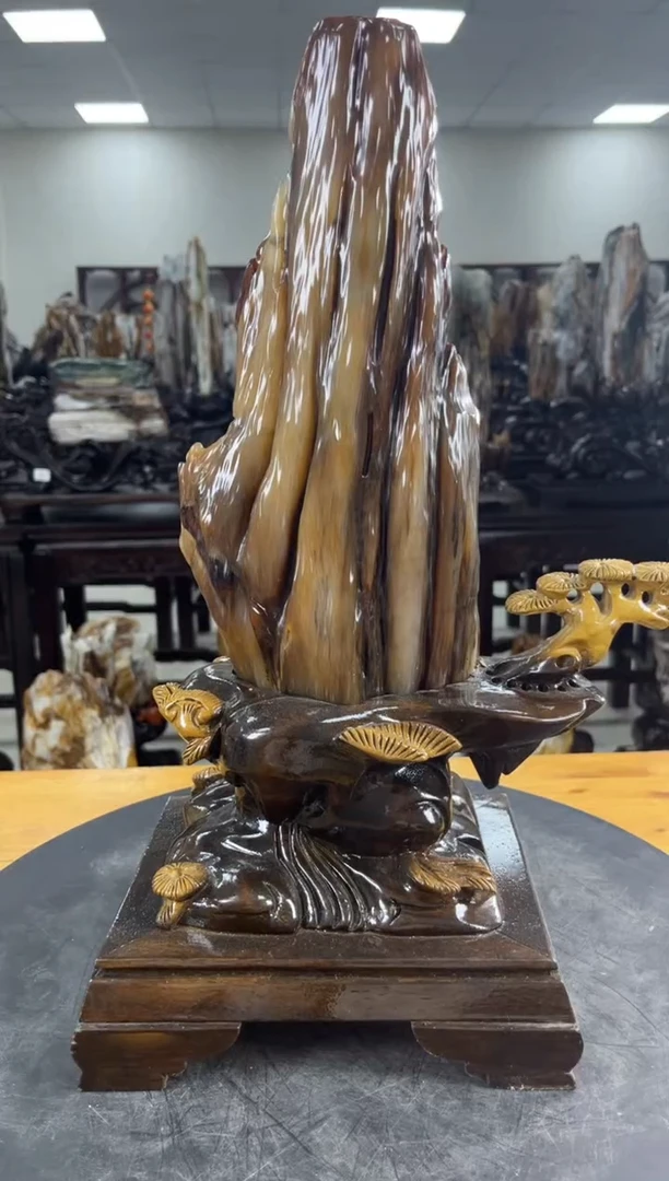 【闪购商品】硅化玉珠宝奇石未镶嵌1