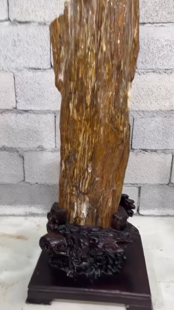【闪购商品】硅化玉珠宝奇石未镶嵌1