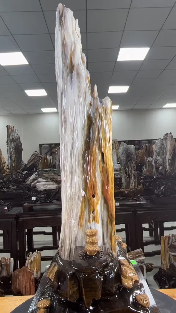 【闪购商品】硅化玉珠宝奇石未镶嵌1