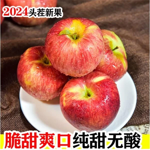 云南昭通红富士苹果净含量4.5斤大果带箱5斤（需要送货上门）