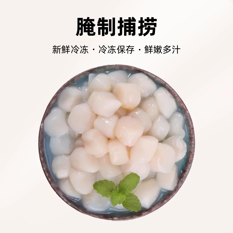 正·康康免浆夏日尝鲜鲜贝3盒600克新鲜冷冻免浆鲜贝腌制捕捞鲜嫩