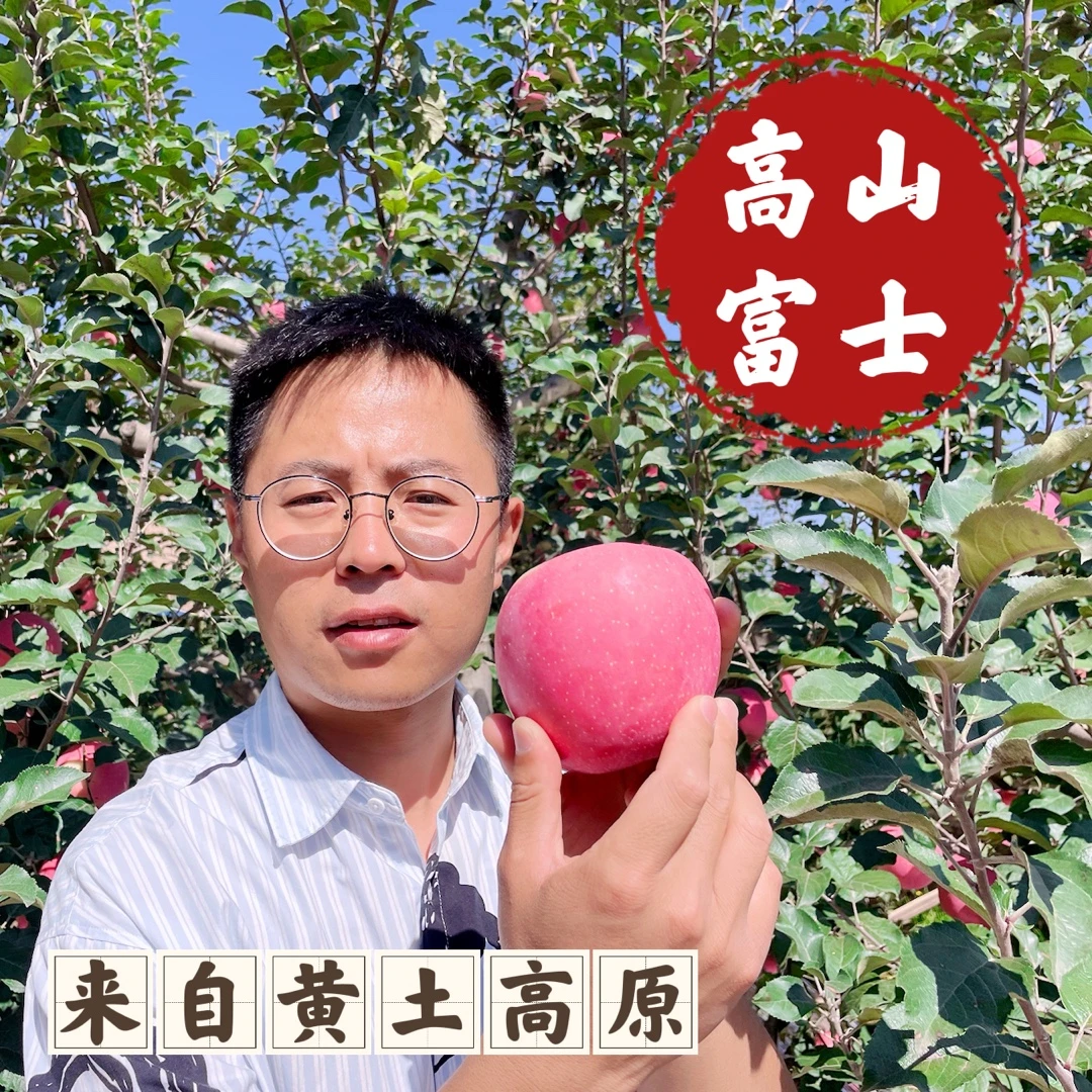 【年年自营】甘肃甄选高山爽脆富士苹果8斤~5斤左右-产地直发包邮