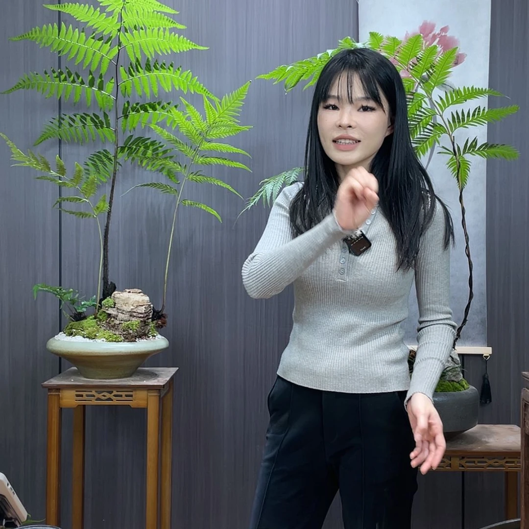【闪购商品】老*头蕨类