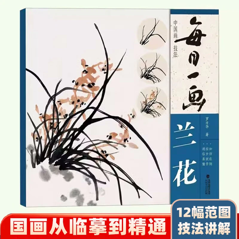 【现货速发】每日一画 兰花 中国画技法国画入门基础教程书兰花写