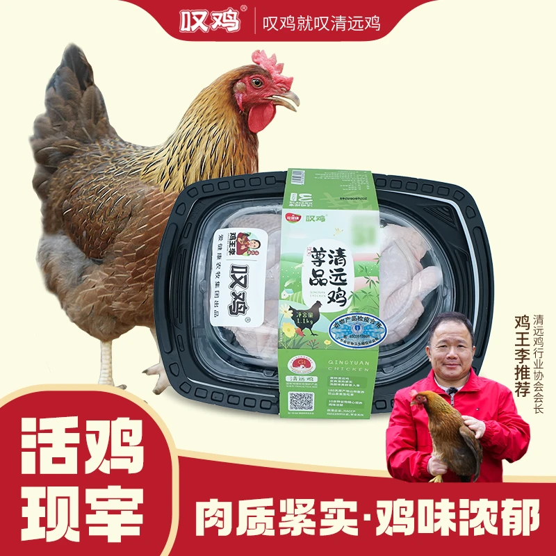 【鸡王李-尊品清远母鸡2.2斤】广东清远鸡肉质新鲜煲汤山林散养专享