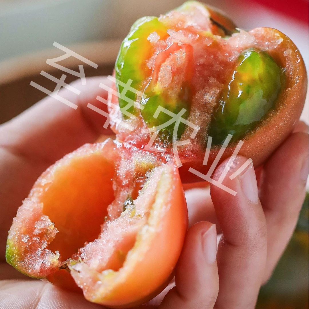 <光姐专属>盘锦碱地柿子  铁皮柿子草莓番茄发青放红