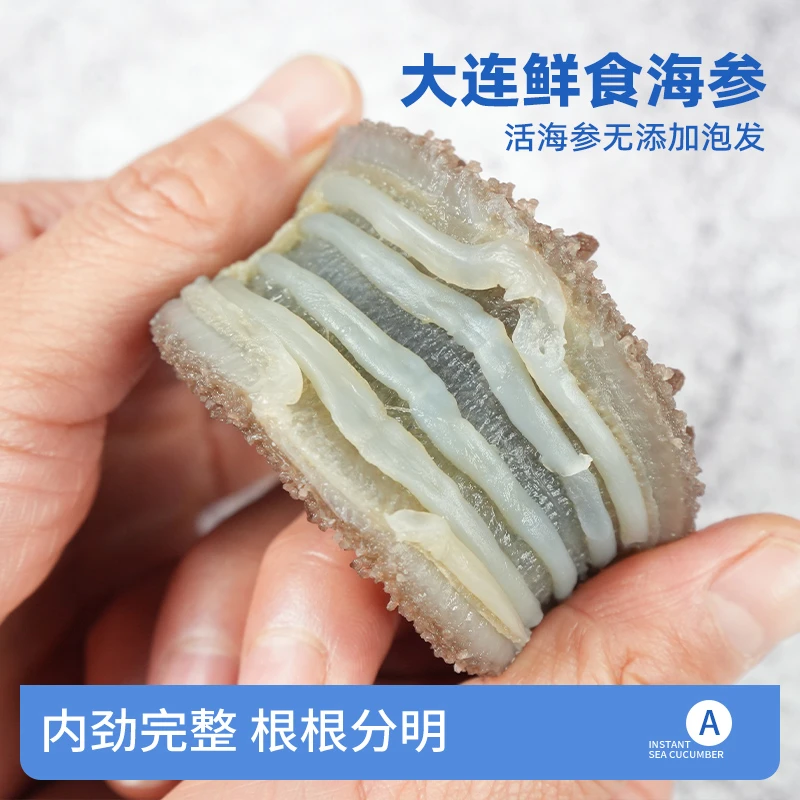 双节礼盒装/大连活参加工/厂家直发/鲜食海参