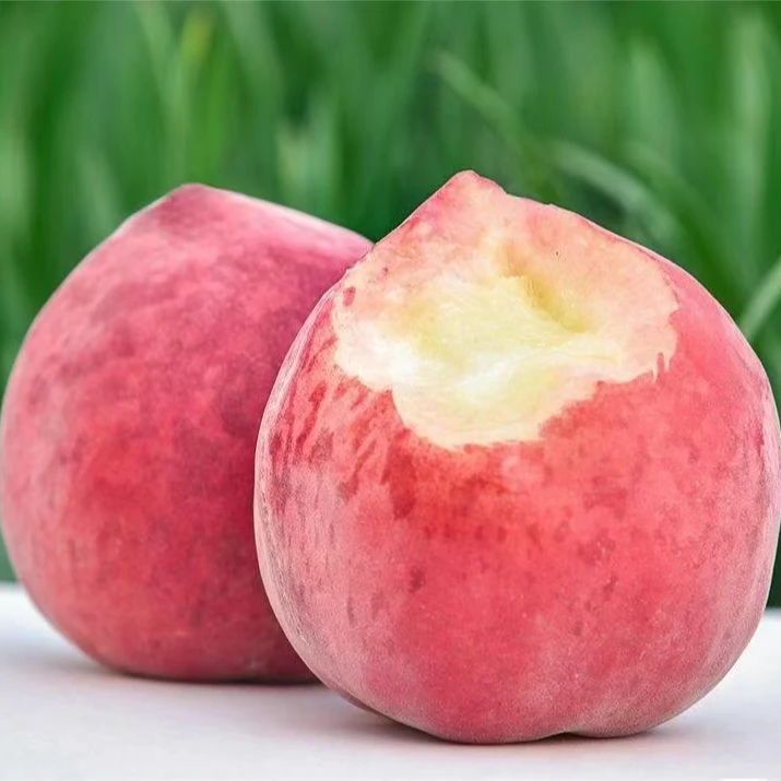 坏果包赔 艳红桃 超级甜桃大个头毛桃3.8-4斤净果