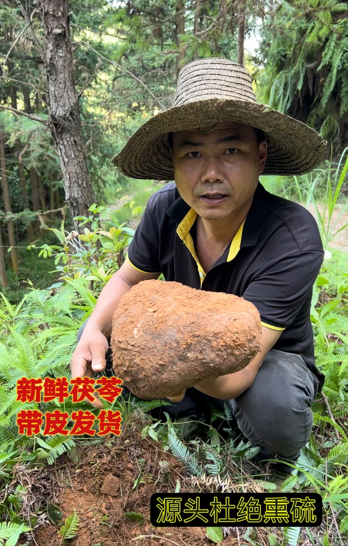 农家新鲜茯苓整个茯苓500克白茯苓切片切丁新鲜茯苓