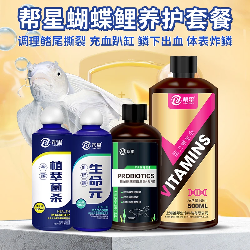 帮星蝴蝶鲤充血趴缸鳍尾撕裂专用调理维他命益生菌套餐一对一指导