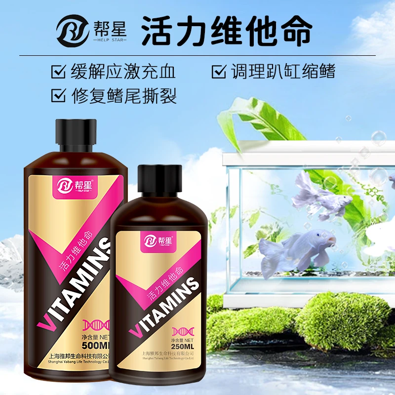 蝴蝶鲤充血趴缸厌食鳍尾撕裂入缸应激专用维他命龙鱼锦鲤通用帮星