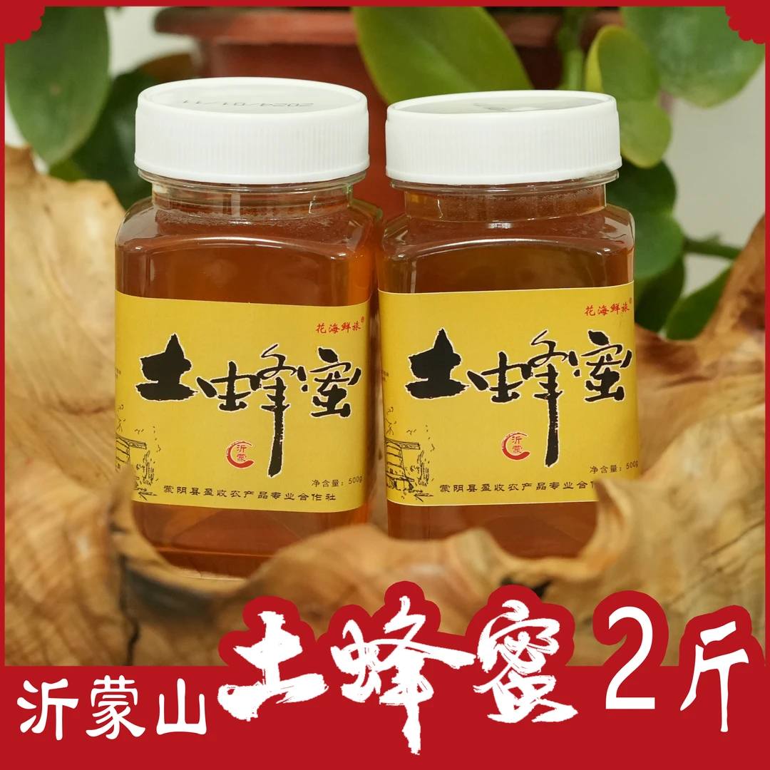 【主播专享】沂蒙山土蜂蜜2斤装