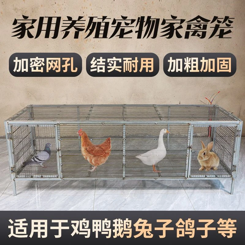 加密鸽子养殖笼兔笼方便家用的鹌鹑笼镀锌加粗笼运输笼大号笼隔断