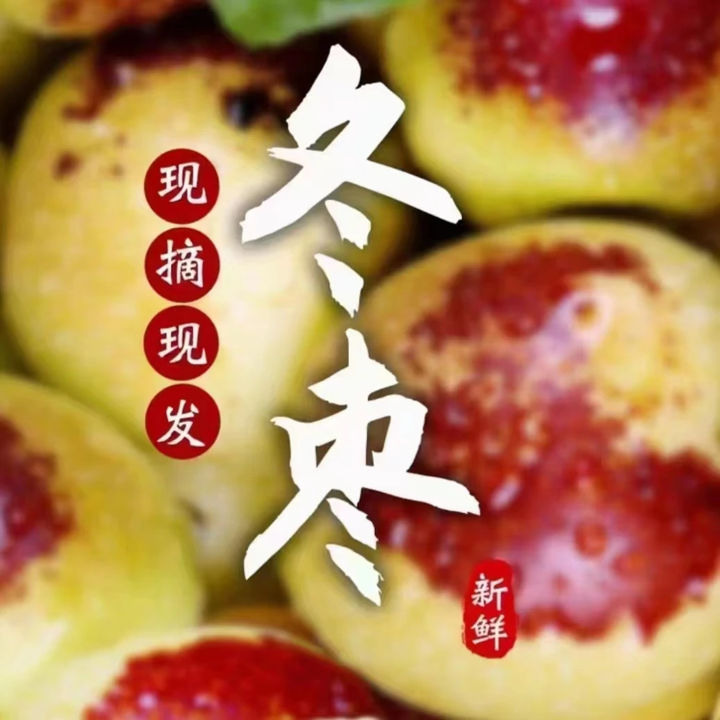 山东沾化冬枣新鲜水果鲜枣脆甜当季整箱5斤