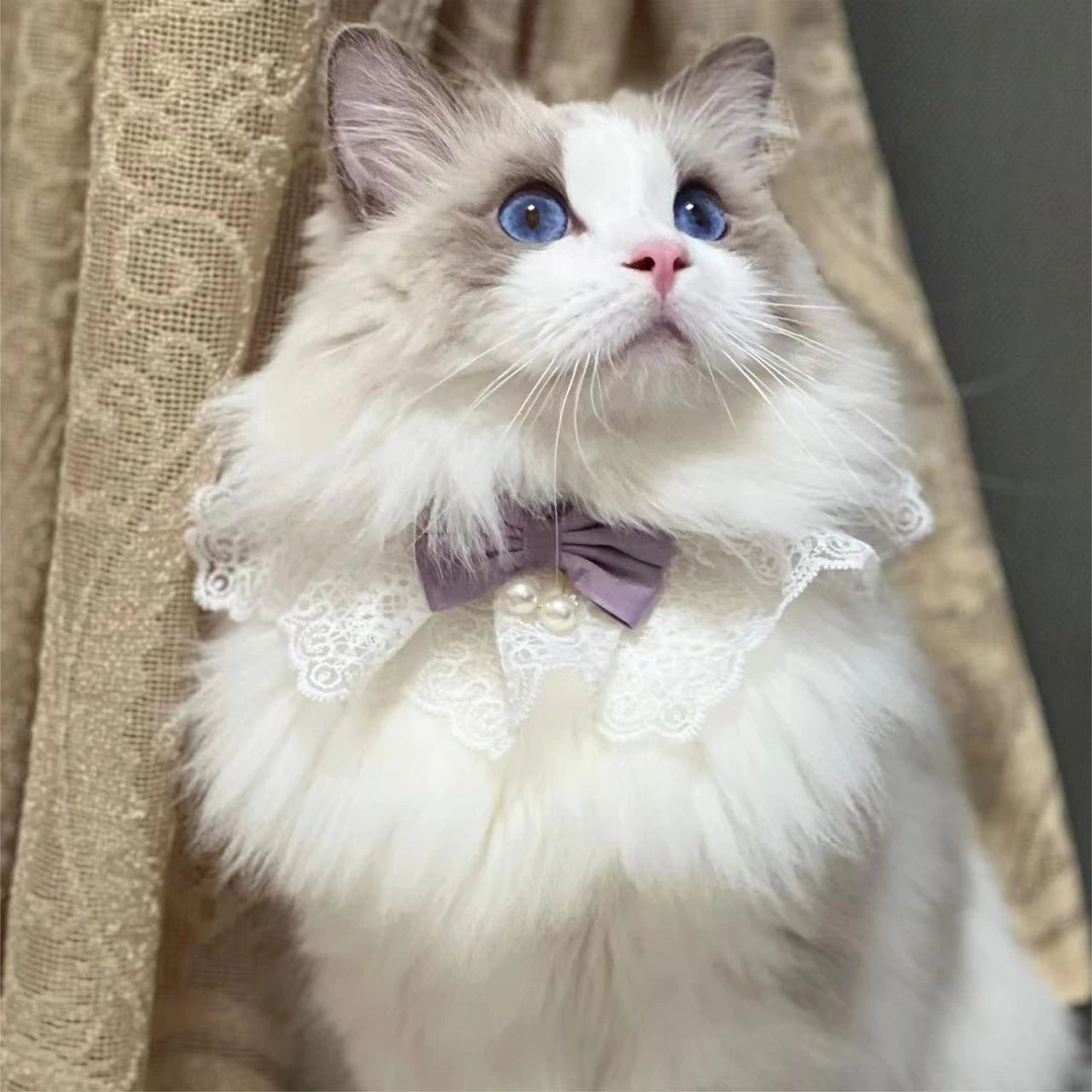 猫咪围脖蕾丝脖子项圈装饰狗狗围巾宠物口水巾蝴蝶结可爱铃铛