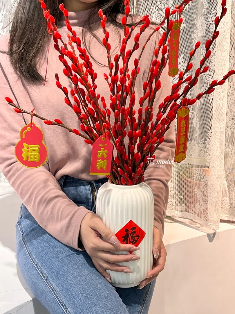 【送5个灯笼】80公分银柳干花真花新鲜枝年宵花卉客厅室内装饰插花