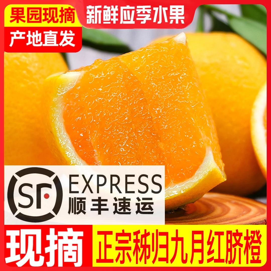 九月红脐橙细腻鲜甜橙子秭归当季新鲜水果冻橙现摘现发原产地直发