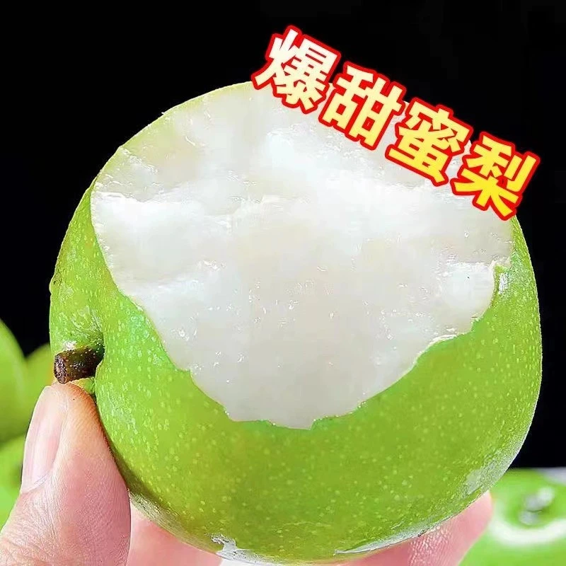 【包邮】现摘现发， 水果翠玉 苏翠 青皮蜜梨脆甜多汁